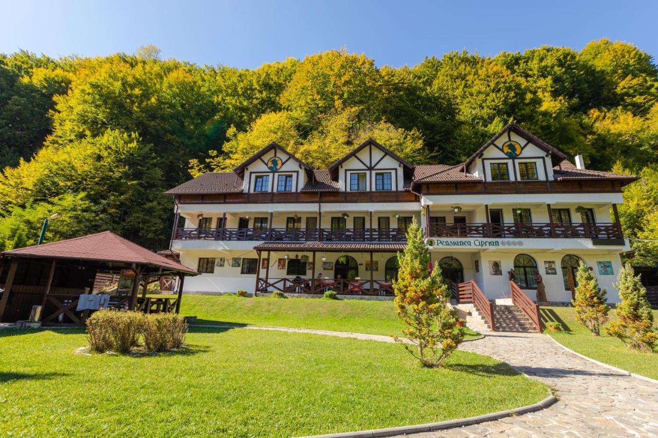 Pensiunea Ciprian Curtea de Argeş Exteriör bild