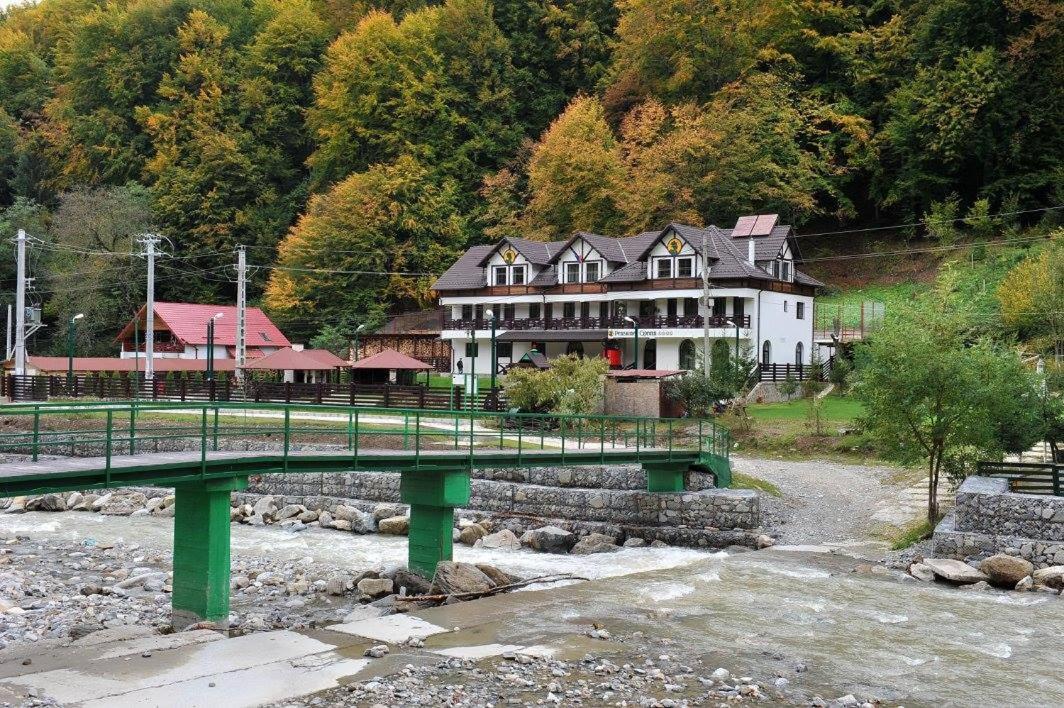 Pensiunea Ciprian Curtea de Argeş Exteriör bild